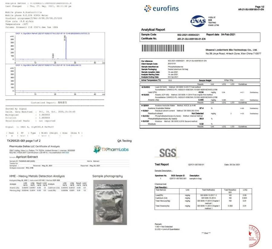 Test Report 3