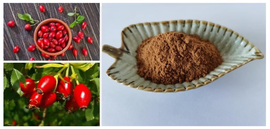 Rosehip Extract, 5% Vitamin C