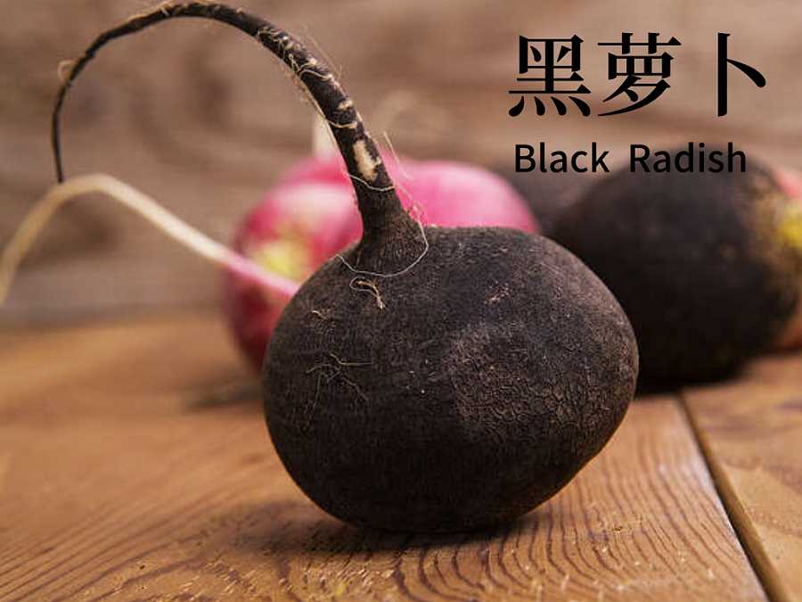 Black Radish Extract Supplier