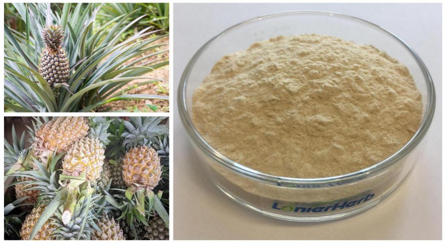 Pineapple Enzyme Bromelain