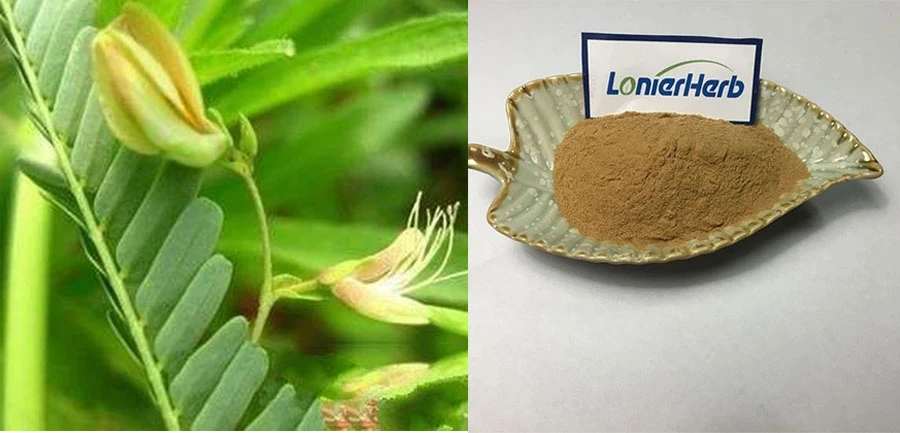 high quality Nomame Semaherb PE high quality Nomame Semaherb PE