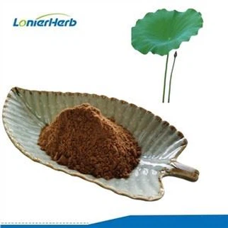Lotus blad ekstrakt pulver