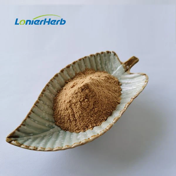 Oregano Extract Powder