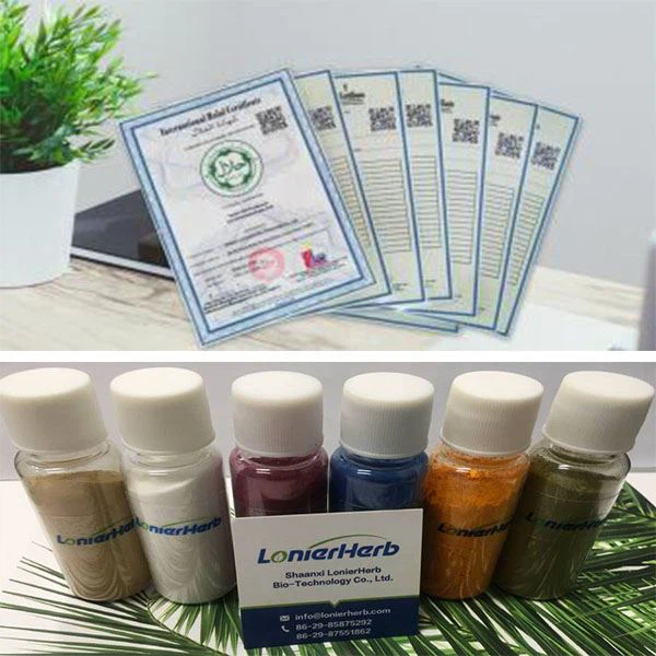 Oregano Extract Powder