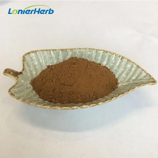 King Oyster Mushroom Extract