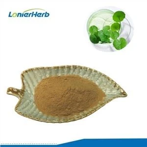 Asiatisk syre Centella Asiatica