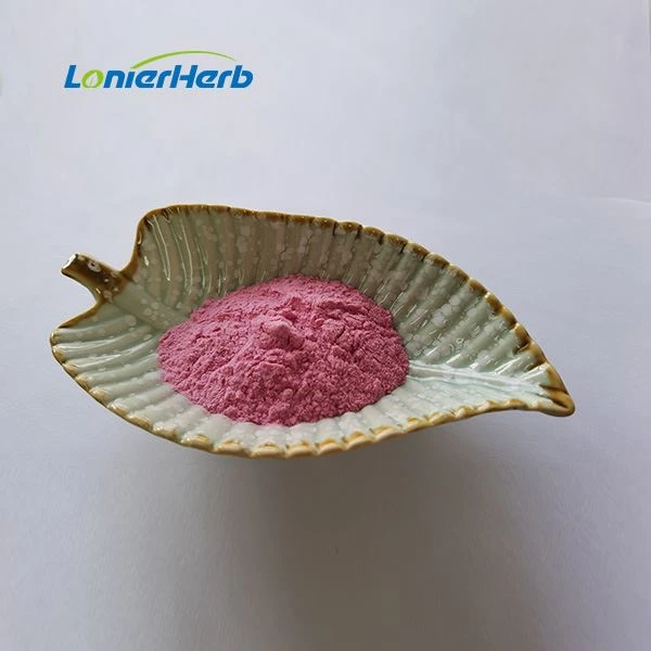 Pomegranate Juice Powder factory