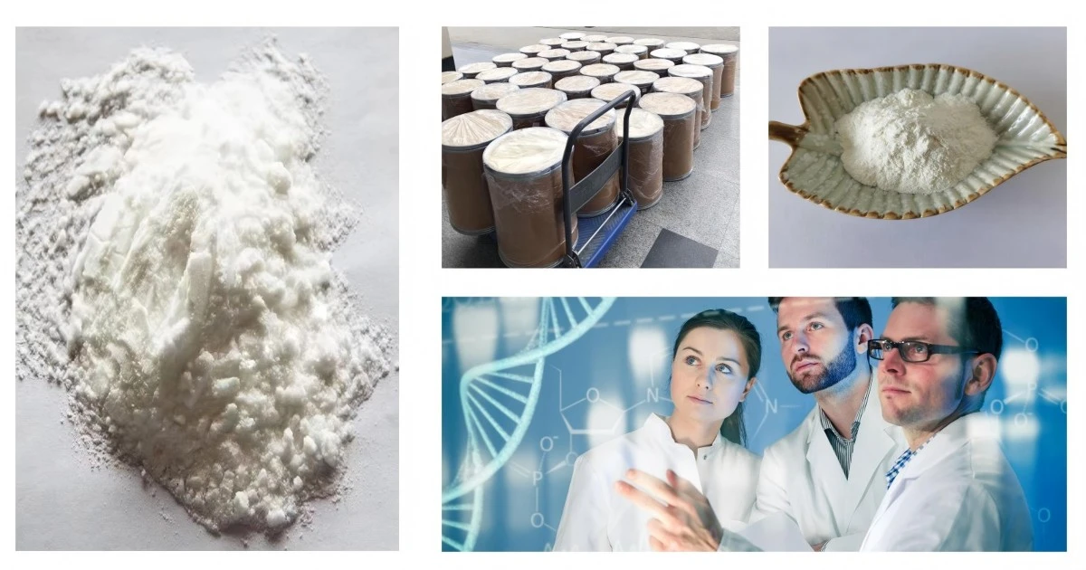 S-Adenosyl-L-Methionine S-Adenosyl-L-Methionine